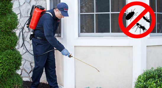 Çamlıyayla Böcek İlaçlama böcek ilaçlama ve haşere kontrolü — ilaclama-tr.com